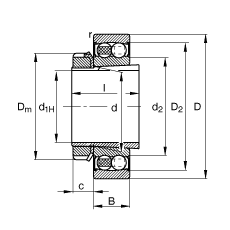 自調(diào)心球軸承 2209-K-2RS-TVH-C3 + H309, 根據(jù) DIN 630 和 DIN 5415 標(biāo)準(zhǔn)的主要尺寸, 帶錐孔和緊定套，兩側(cè)唇密封