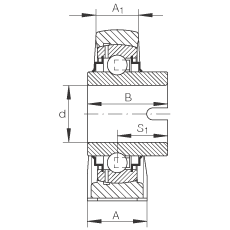 直立式軸承座單元 RASEL20-N, 鑄鐵軸承座，浮動(dòng)軸承，內(nèi)圈有驅(qū)動(dòng)槽，R 型密封