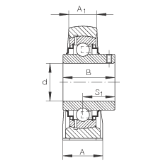 直立式軸承座單元 RASEY40-N, 鑄鐵軸承座，內(nèi)圈帶平頭螺釘?shù)耐馇蛎媲蜉S承，R密封